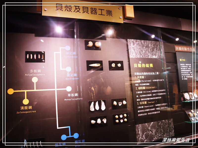 台南市新市區樹谷生活科學館-台南新市/和恐龍一起玩!還能隔壁樹谷農場餵動物~寓教於樂銅板價.親子室內一日遊景點