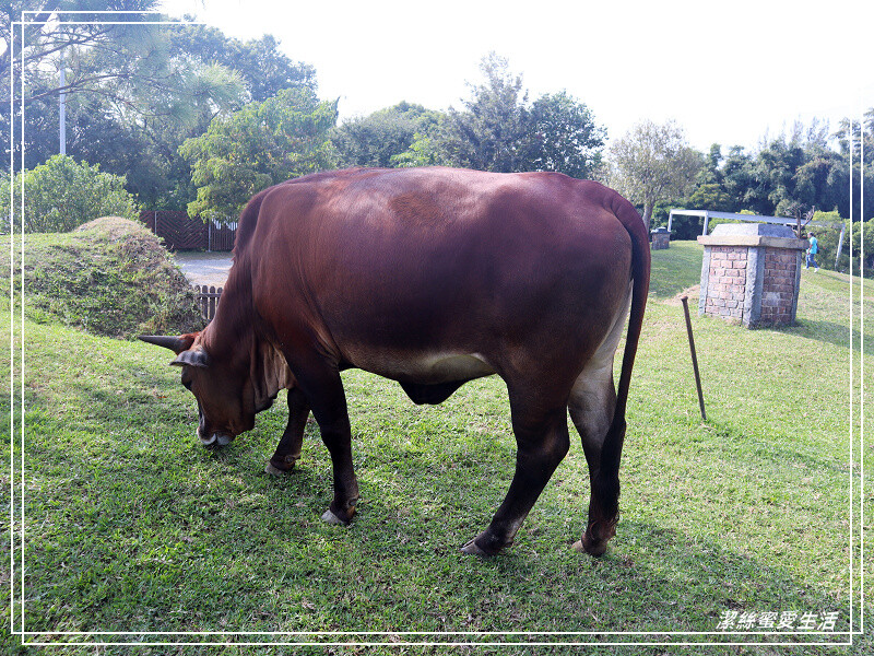 苗栗縣苑裡鎮綠意山莊-苗栗苑裡/住宿遊玩兩相宜~歐日風x童話小屋.好好拍親子景點