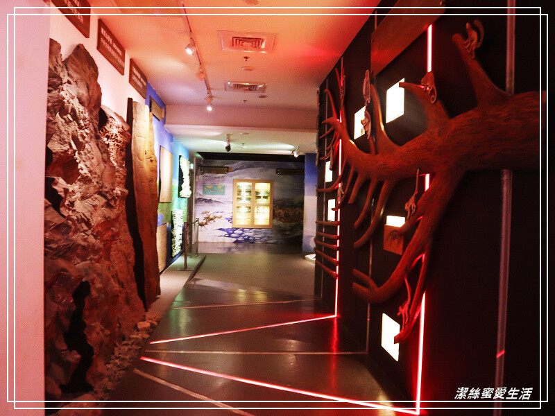 台南市新市區樹谷生活科學館-台南新市/和恐龍一起玩!還能隔壁樹谷農場餵動物~寓教於樂銅板價.親子室內一日遊景點