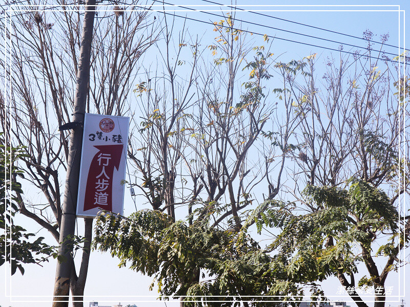 嘉義縣民雄鄉三隻小豬觀光農場-嘉義民雄/少少門票大大玩樂!超多動物x遊樂區xDIY~欲罷不能的童話世界