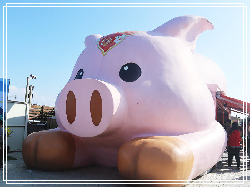 嘉義縣民雄鄉三隻小豬觀光農場-嘉義民雄/少少門票大大玩樂!超多動物x遊樂區xDIY~欲罷不能的童話世界