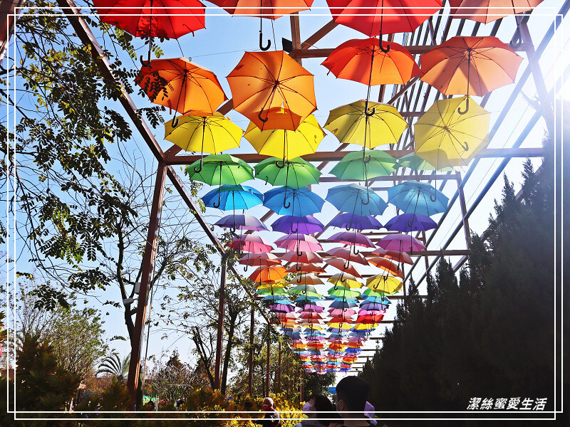 嘉義縣民雄鄉三隻小豬觀光農場-嘉義民雄/少少門票大大玩樂!超多動物x遊樂區xDIY~欲罷不能的童話世界