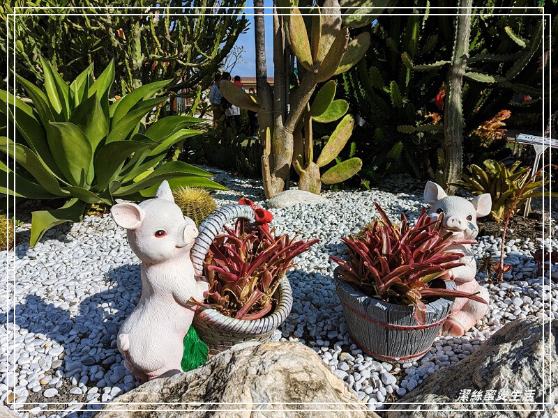 嘉義縣民雄鄉三隻小豬觀光農場-嘉義民雄/少少門票大大玩樂!超多動物x遊樂區xDIY~欲罷不能的童話世界