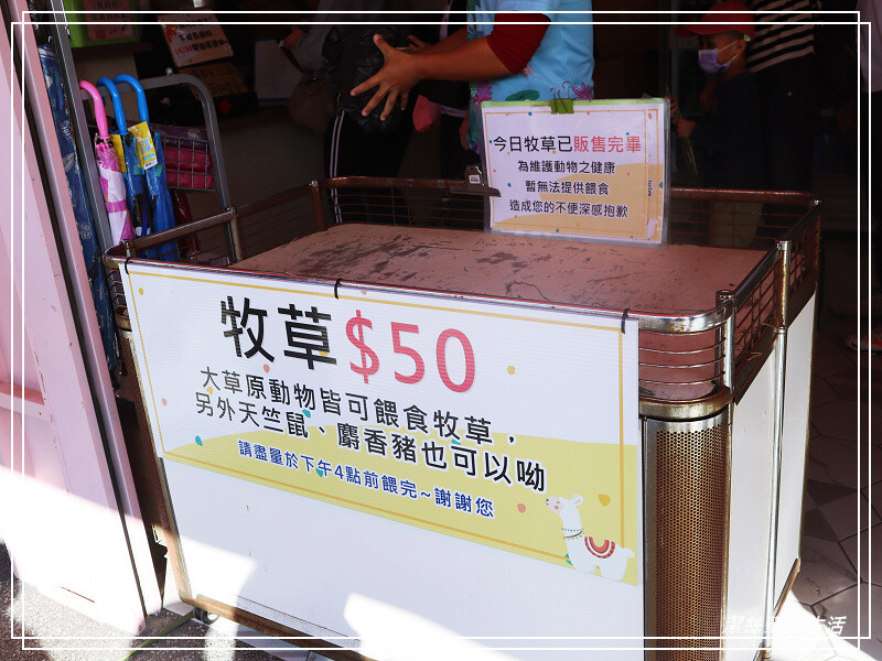 嘉義縣民雄鄉三隻小豬觀光農場-嘉義民雄/少少門票大大玩樂!超多動物x遊樂區xDIY~欲罷不能的童話世界