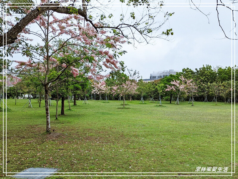 台南市新市區樹谷生活科學館-台南新市/和恐龍一起玩!還能隔壁樹谷農場餵動物~寓教於樂銅板價.親子室內一日遊景點