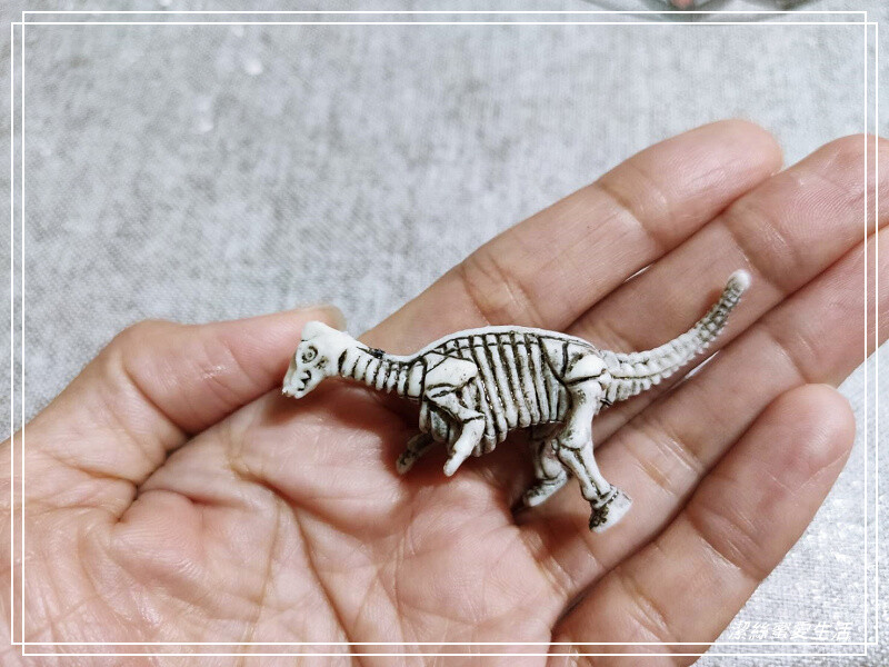 台南市新市區樹谷生活科學館-台南新市/和恐龍一起玩!還能隔壁樹谷農場餵動物~寓教於樂銅板價.親子室內一日遊景點