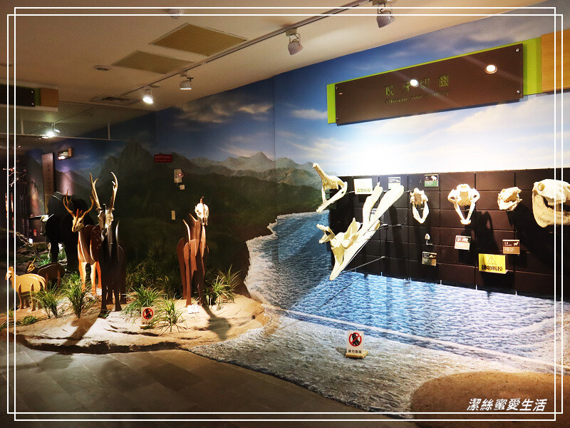 台南市新市區樹谷生活科學館-台南新市/和恐龍一起玩!還能隔壁樹谷農場餵動物~寓教於樂銅板價.親子室內一日遊景點