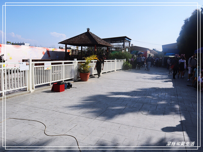 嘉義縣民雄鄉三隻小豬觀光農場-嘉義民雄/少少門票大大玩樂!超多動物x遊樂區xDIY~欲罷不能的童話世界