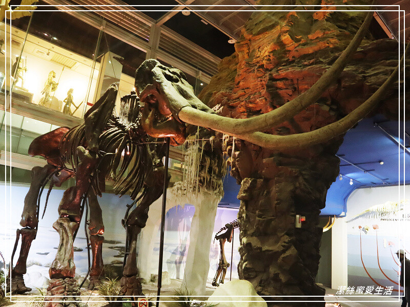 台南市新市區樹谷生活科學館-台南新市/和恐龍一起玩!還能隔壁樹谷農場餵動物~寓教於樂銅板價.親子室內一日遊景點