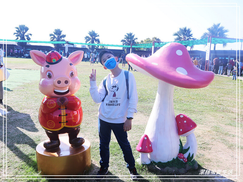 嘉義縣民雄鄉三隻小豬觀光農場-嘉義民雄/少少門票大大玩樂!超多動物x遊樂區xDIY~欲罷不能的童話世界