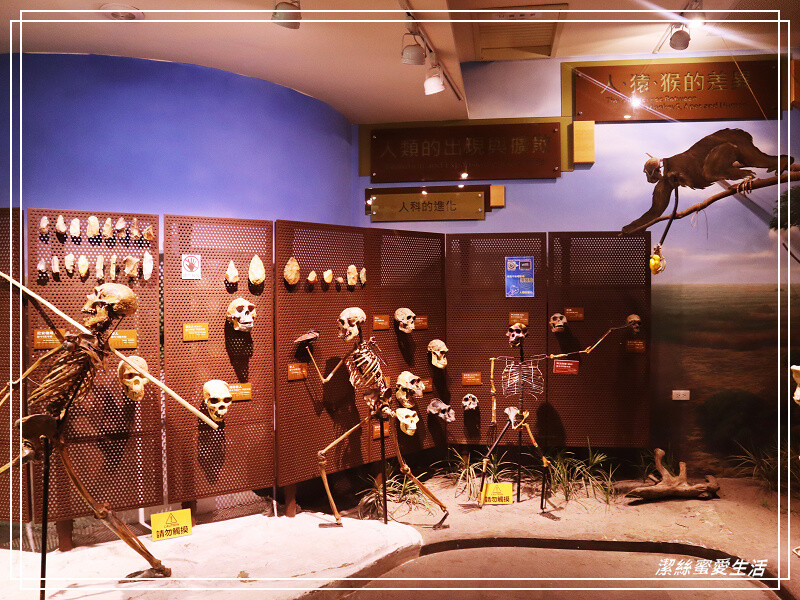 台南市新市區樹谷生活科學館-台南新市/和恐龍一起玩!還能隔壁樹谷農場餵動物~寓教於樂銅板價.親子室內一日遊景點