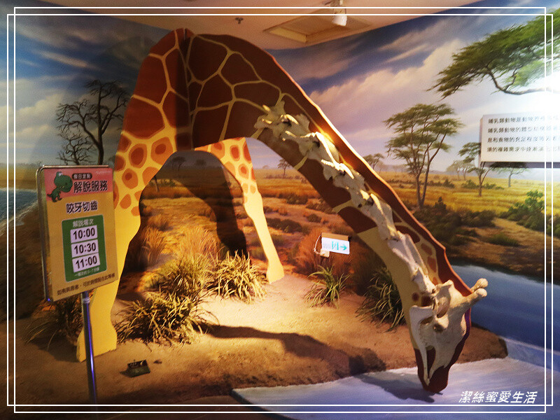 台南市新市區樹谷生活科學館-台南新市/和恐龍一起玩!還能隔壁樹谷農場餵動物~寓教於樂銅板價.親子室內一日遊景點