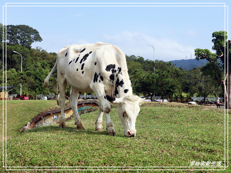 苗栗縣苑裡鎮綠意山莊-苗栗苑裡/住宿遊玩兩相宜~歐日風x童話小屋.好好拍親子景點
