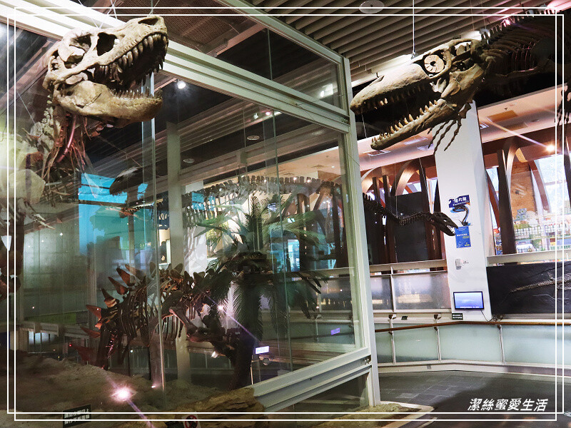 台南市新市區樹谷生活科學館-台南新市/和恐龍一起玩!還能隔壁樹谷農場餵動物~寓教於樂銅板價.親子室內一日遊景點