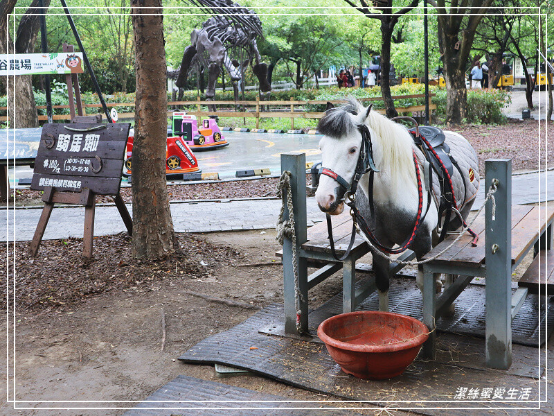 台南市新市區樹谷生活科學館-台南新市/和恐龍一起玩!還能隔壁樹谷農場餵動物~寓教於樂銅板價.親子室內一日遊景點