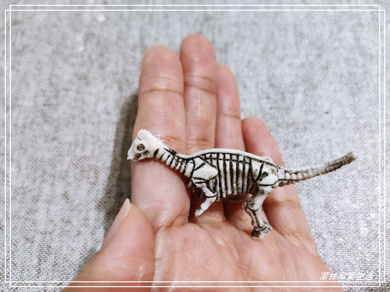 台南市新市區樹谷生活科學館-台南新市/和恐龍一起玩!還能隔壁樹谷農場餵動物~寓教於樂銅板價.親子室內一日遊景點