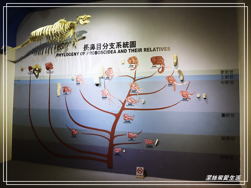 台南市新市區樹谷生活科學館-台南新市/和恐龍一起玩!還能隔壁樹谷農場餵動物~寓教於樂銅板價.親子室內一日遊景點