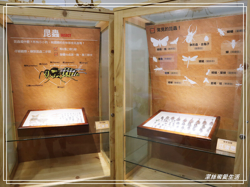 台南市新市區樹谷生活科學館-台南新市/和恐龍一起玩!還能隔壁樹谷農場餵動物~寓教於樂銅板價.親子室內一日遊景點