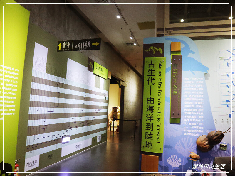 台南市新市區樹谷生活科學館-台南新市/和恐龍一起玩!還能隔壁樹谷農場餵動物~寓教於樂銅板價.親子室內一日遊景點