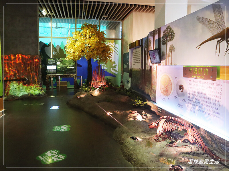 台南市新市區樹谷生活科學館-台南新市/和恐龍一起玩!還能隔壁樹谷農場餵動物~寓教於樂銅板價.親子室內一日遊景點