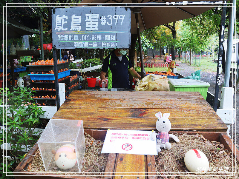 台南市新市區樹谷生活科學館-台南新市/和恐龍一起玩!還能隔壁樹谷農場餵動物~寓教於樂銅板價.親子室內一日遊景點