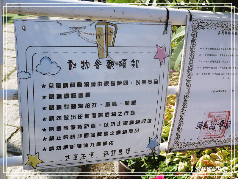 嘉義縣民雄鄉三隻小豬觀光農場-嘉義民雄/少少門票大大玩樂!超多動物x遊樂區xDIY~欲罷不能的童話世界