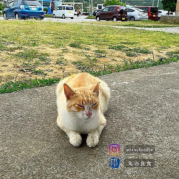 日本奧武島|沖繩美食景點推薦 @neru.foodie / 丸の良食