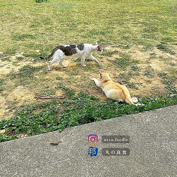 日本奧武島|沖繩美食景點推薦 @neru.foodie / 丸の良食