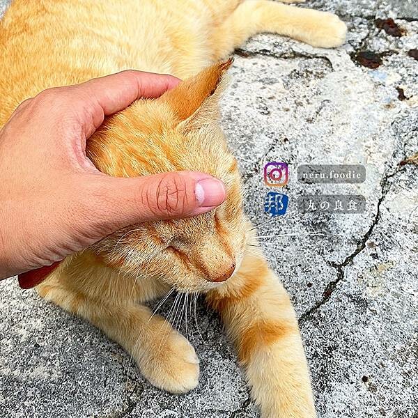 日本奧武島|沖繩美食景點推薦 @neru.foodie / 丸の良食