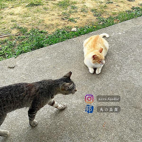 日本奧武島|沖繩美食景點推薦 @neru.foodie / 丸の良食