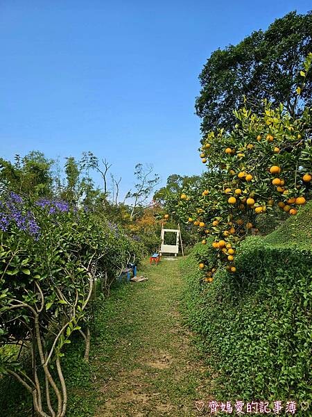 苗栗頭屋．橙香森林 (橘子果園 / 橙香隧道 / 玻璃屋)