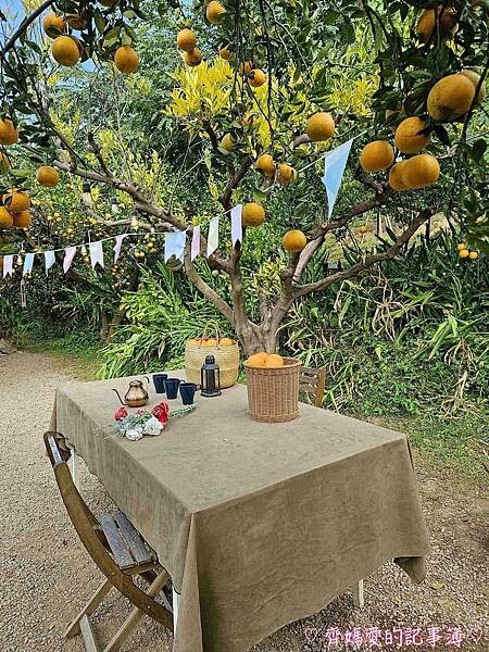 苗栗頭屋．橙香森林 (橘子果園 / 橙香隧道 / 玻璃屋)