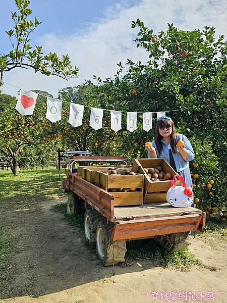 苗栗頭屋．橙香森林 (橘子果園 / 橙香隧道 / 玻璃屋)