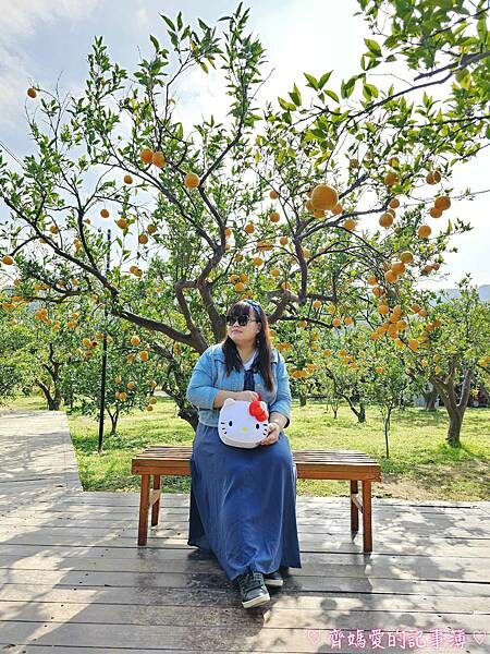 苗栗頭屋．橙香森林 (橘子果園 / 橙香隧道 / 玻璃屋)