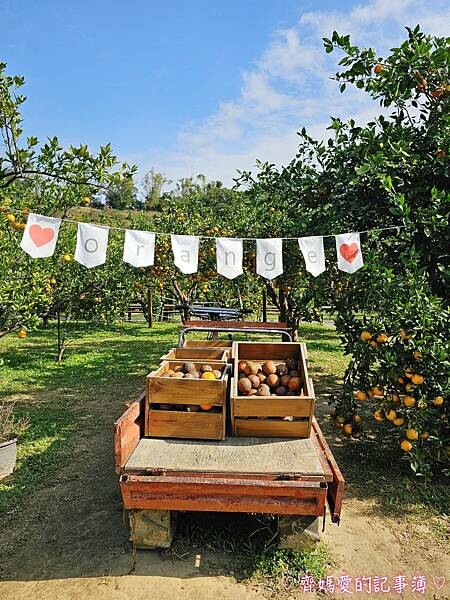 苗栗頭屋．橙香森林 (橘子果園 / 橙香隧道 / 玻璃屋)