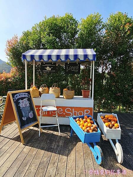 苗栗頭屋．橙香森林 (橘子果園 / 橙香隧道 / 玻璃屋)