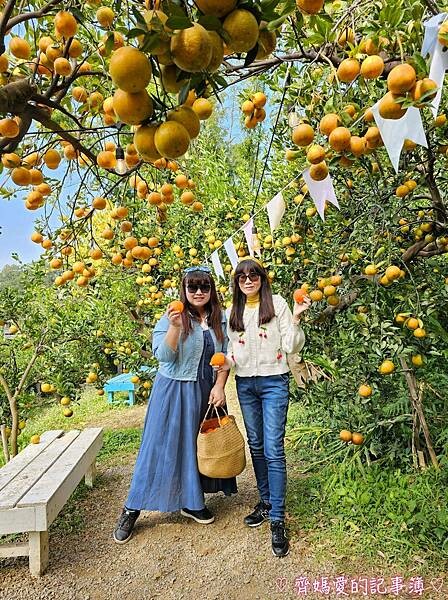 苗栗頭屋．橙香森林 (橘子果園 / 橙香隧道 / 玻璃屋)