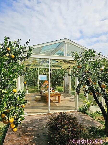 苗栗頭屋．橙香森林 (橘子果園 / 橙香隧道 / 玻璃屋)