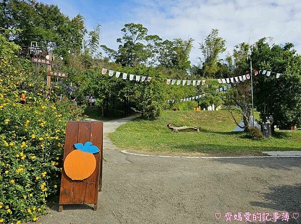 苗栗頭屋．橙香森林 (橘子果園 / 橙香隧道 / 玻璃屋)