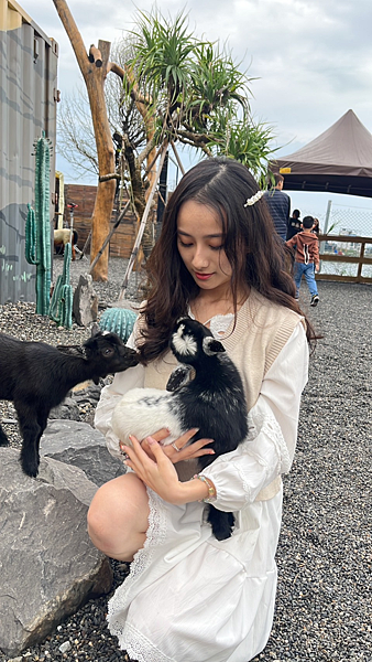 【宜蘭景點】礁溪網美必朝聖新景點|近距離餵食可愛動物|荒野沙