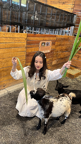 【宜蘭景點】礁溪網美必朝聖新景點|近距離餵食可愛動物|荒野沙