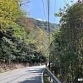 尖石後山景觀餐廳【魯壁一家人】秀麗群山相伴&享用原住民特色料