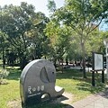 宜蘭賞櫻秘境【櫻悅景觀渡假別墅】茶園櫻花隧道,打卡免費入園| 宜蘭賞櫻秘境【櫻悅景觀渡假別墅】茶園櫻花隧道,打卡免費入園|