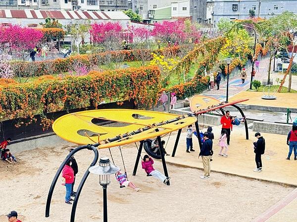 ★新北●鶯歌*最美拍的『鶯歌永吉公園』,擁有雙色櫻花、炮仗花