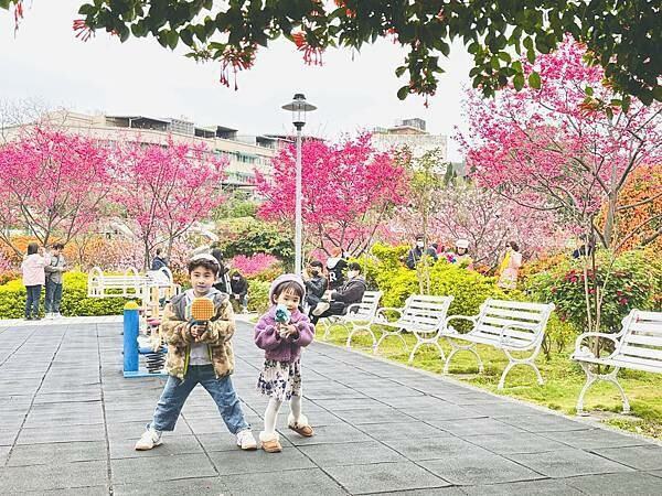 ★新北●鶯歌*最美拍的『鶯歌永吉公園』,擁有雙色櫻花、炮仗花