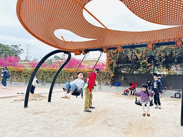 ★新北●鶯歌*最美拍的『鶯歌永吉公園』,擁有雙色櫻花、炮仗花