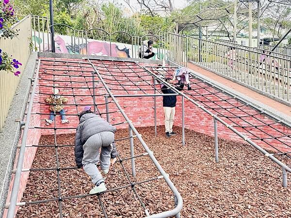 ★新北●鶯歌*最美拍的『鶯歌永吉公園』,擁有雙色櫻花、炮仗花