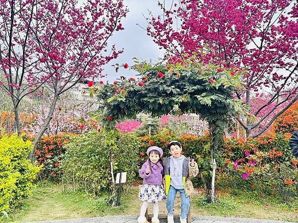 ★新北●鶯歌*最美拍的『鶯歌永吉公園』,擁有雙色櫻花、炮仗花