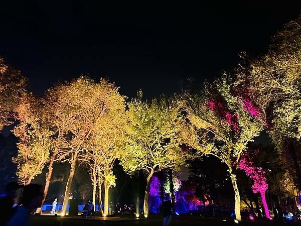 ★2024桃園燈會★『閃閃桃園 閃閃桃林』結合中西，穿越古今