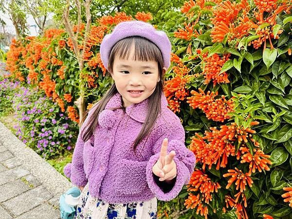 ★新北●鶯歌*最美拍的『鶯歌永吉公園』,擁有雙色櫻花、炮仗花